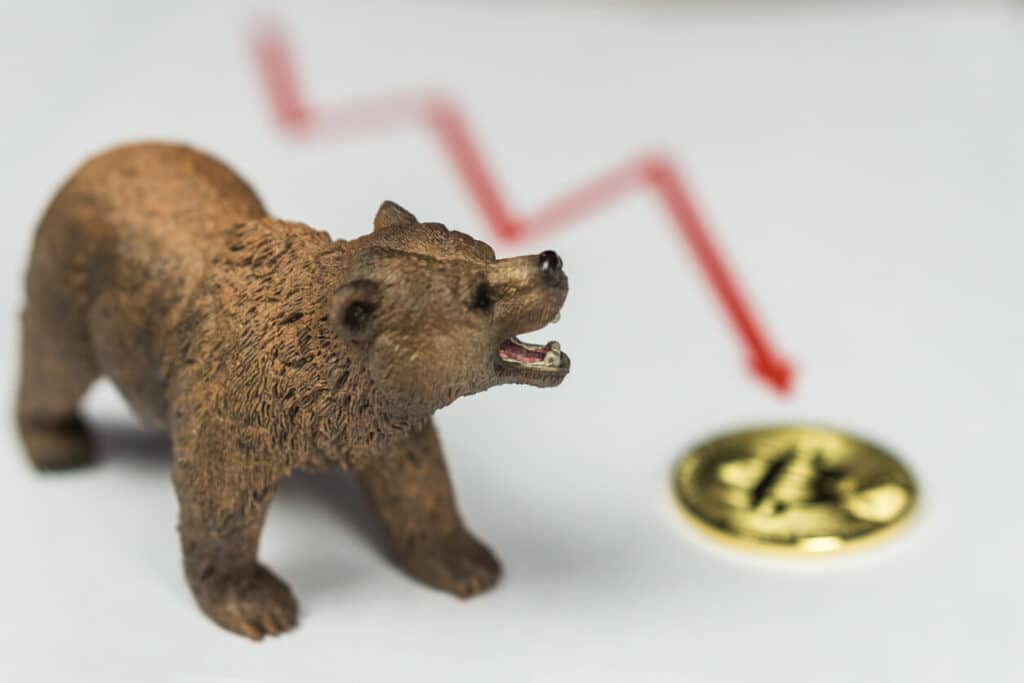 동물에 비유한 경제시사용어: 회색코뿔소&블랙스완 등..경제 용어 15가지 • Economics|IT 동물에 비유한 경제시사용어: 회색코뿔소&블랙스완 등..경제 용어 15가지 • Economics|It